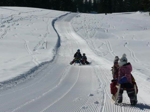 Gummenalp Schlittlen